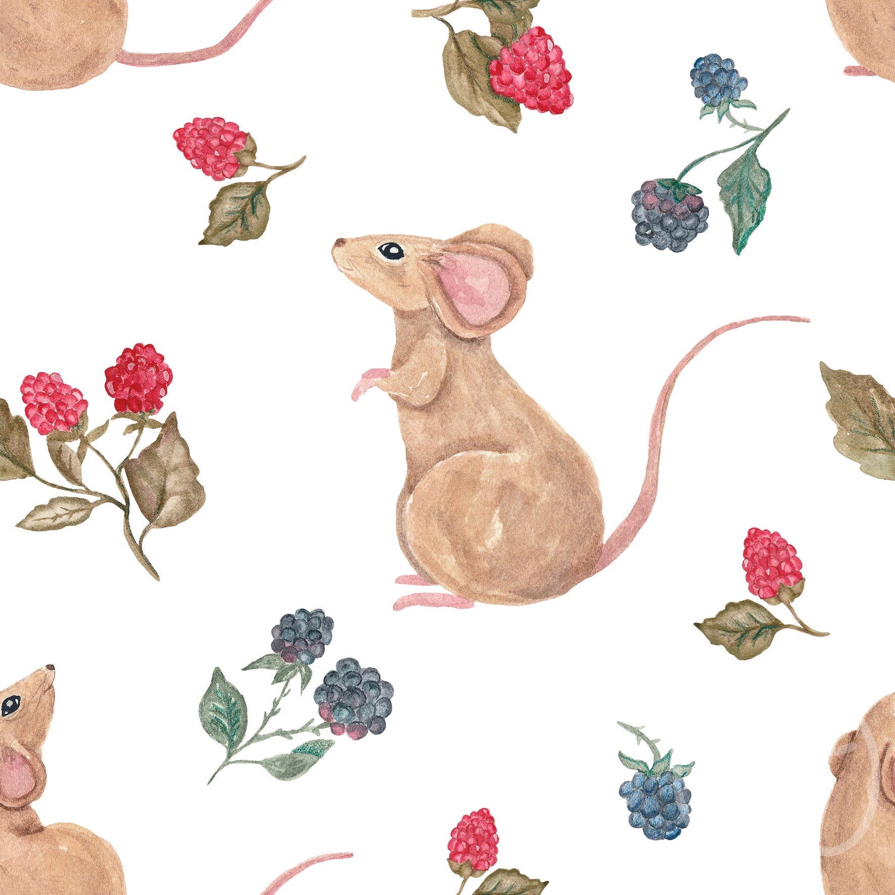 Mouse & Raspberry