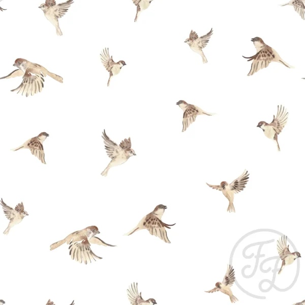 Birds Off White