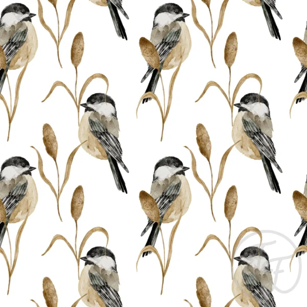 Chickadee White