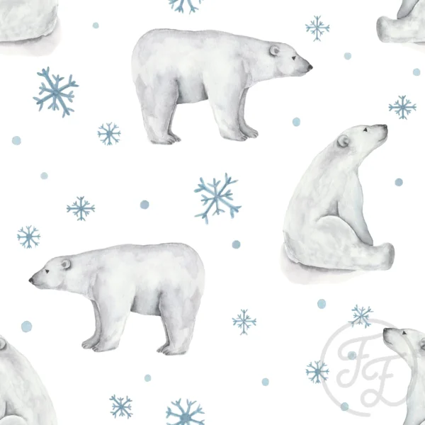 Winter Bears