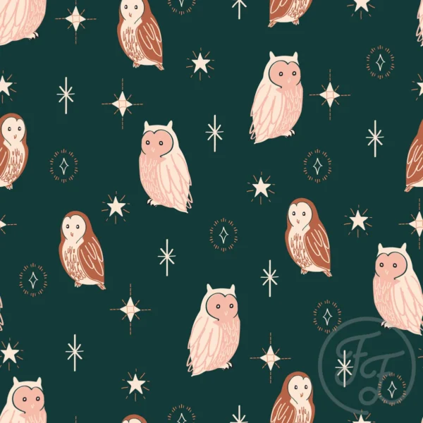 Owl and Stars in Everglade