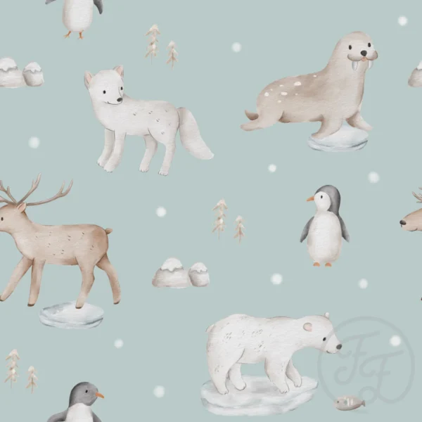 Arctic Animals Ice