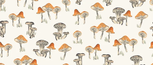 Little Mushroom Cream Orange
