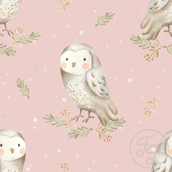 Owl Powder
