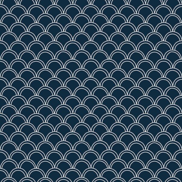 Scallops White Navy