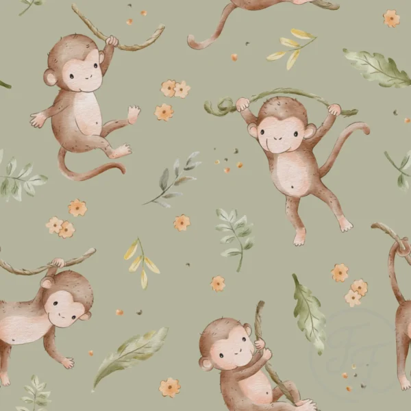 Monkeys Olive