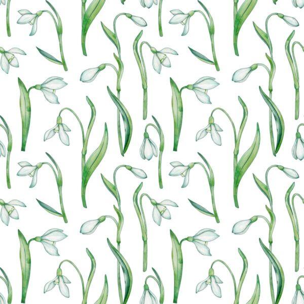 Snowdrops Garden White