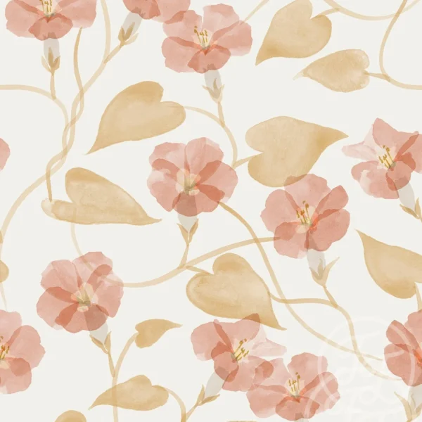 Ipomea Plant Pink