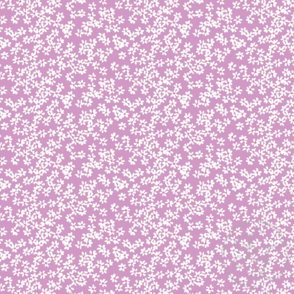 Snow in Summer Purple