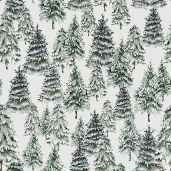 Frosty Woodland