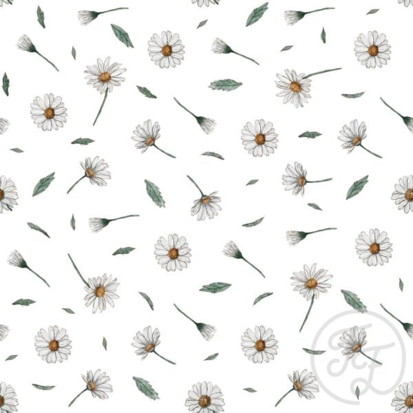 Daisy Field