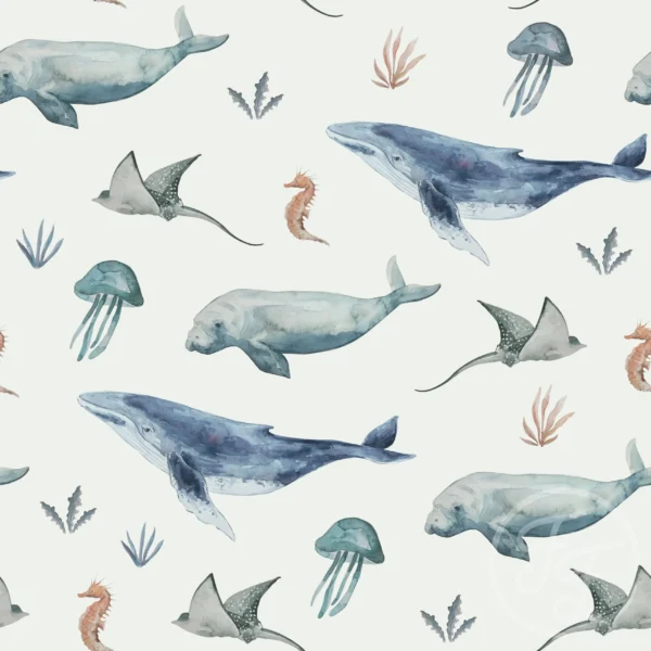Deep Sea Life