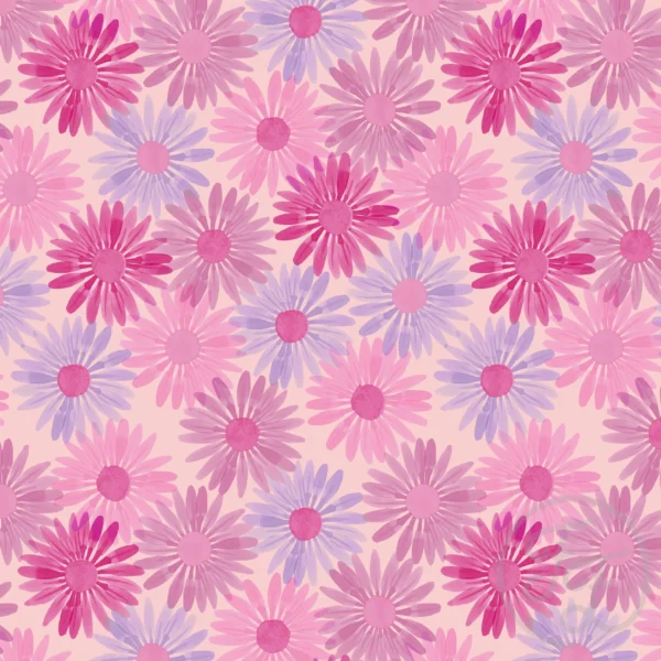 Echinacea Pink