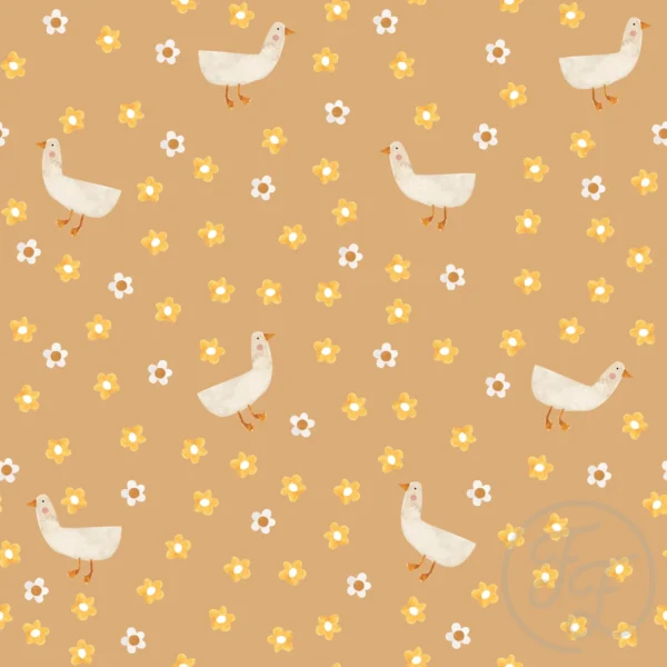 Sunny Geese