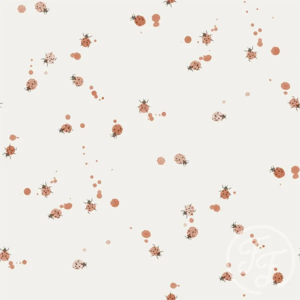 Ladybug 1