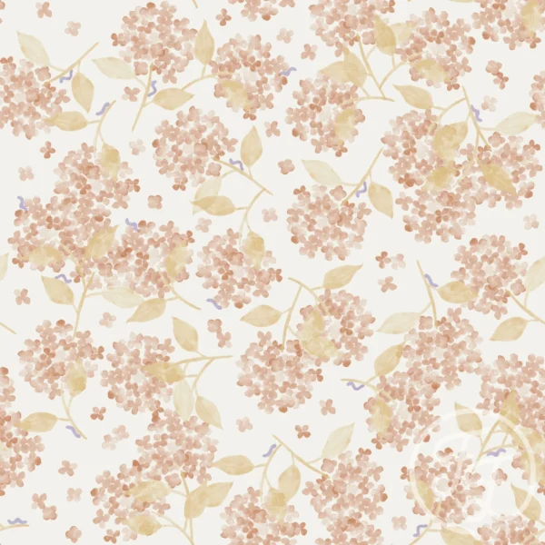 Hortensia Pink White
