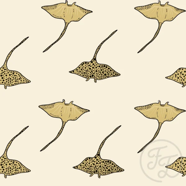 Stingray