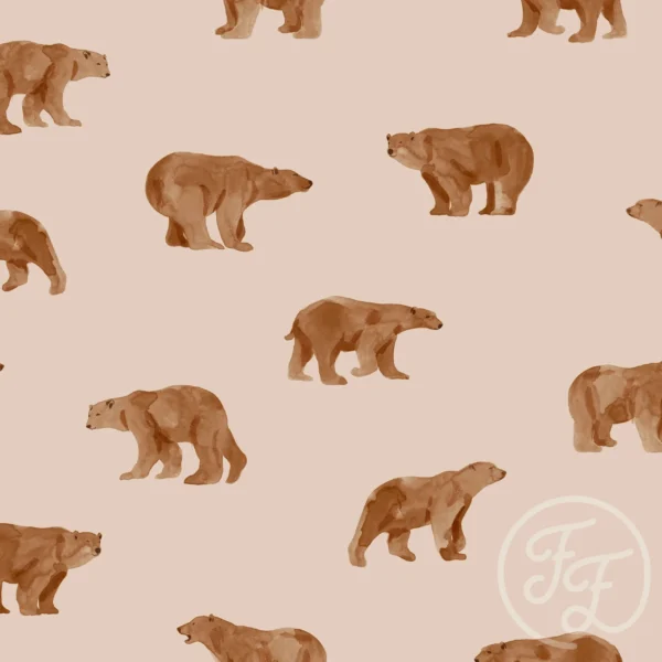 Grizzly Bear Sand