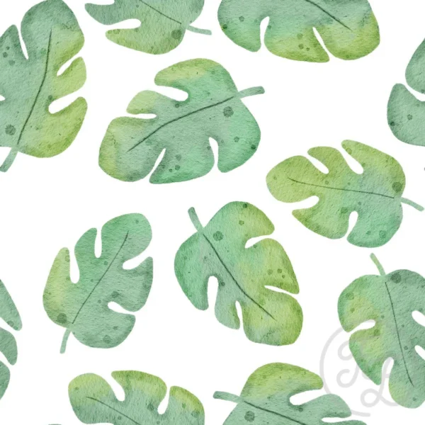 Safari Monstera Small