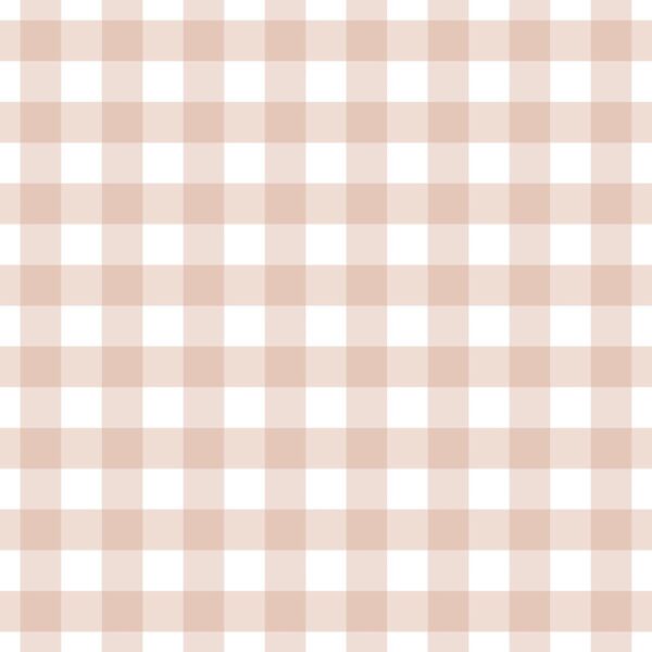 Gingham Claypink