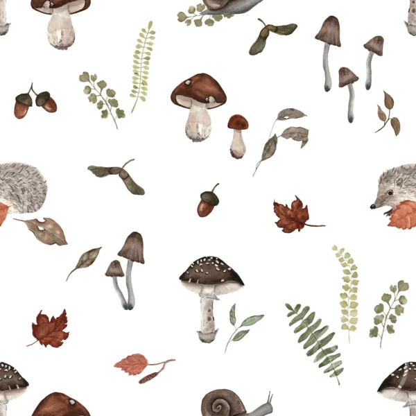 Autumn Forest