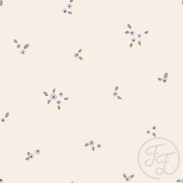 Blueberries
