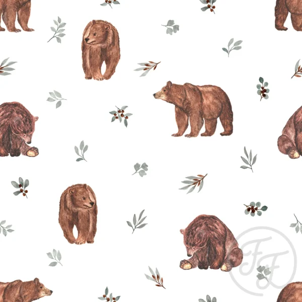 Bears & Leafs (new version Feb23)