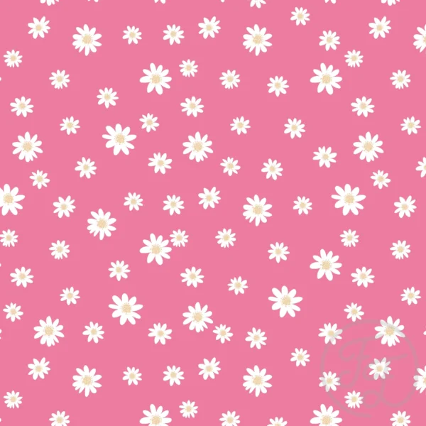 Daisies Pink 1
