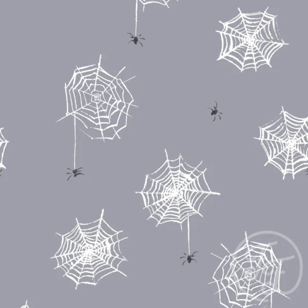 Spiderweb Sky