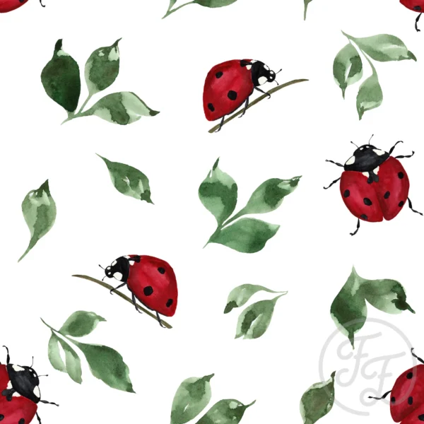 The Ladybug
