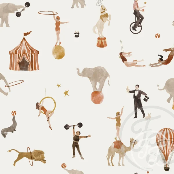 Circus