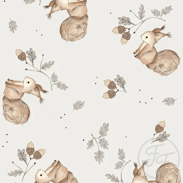 Noes Squirrels