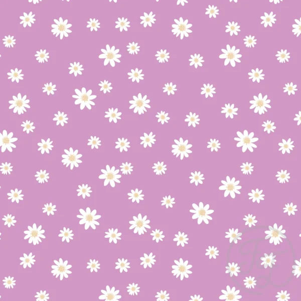 Daisies Purple