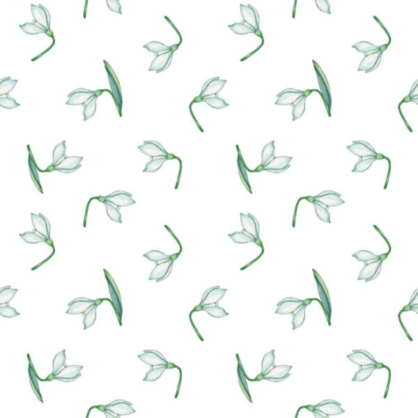 Snowdrops White