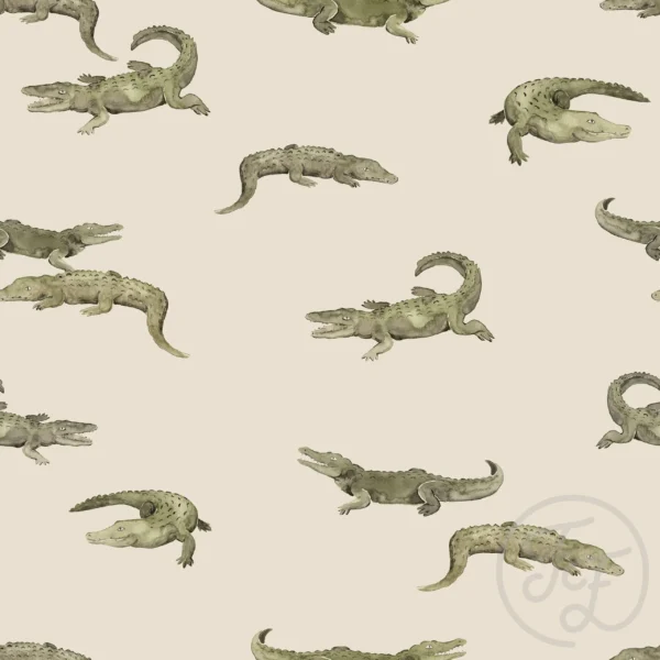Crocodiles Small