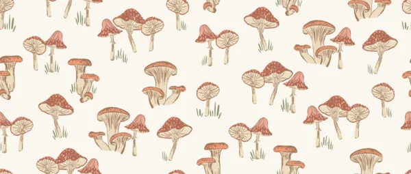 Little Mushroom Cream Pink