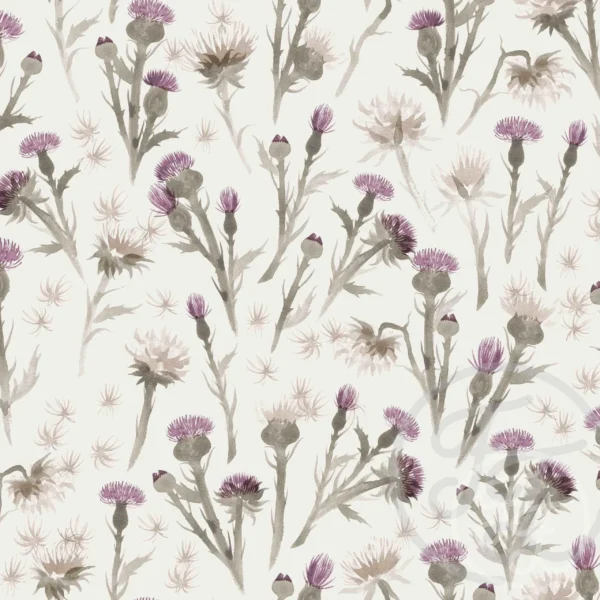 Thistle