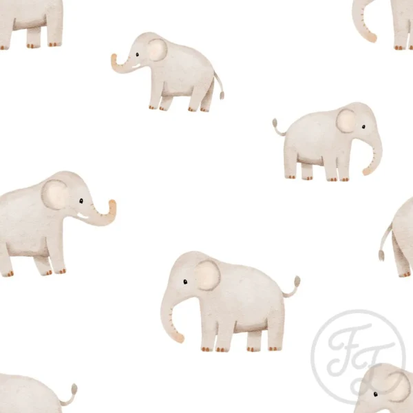 Safari Elephant White