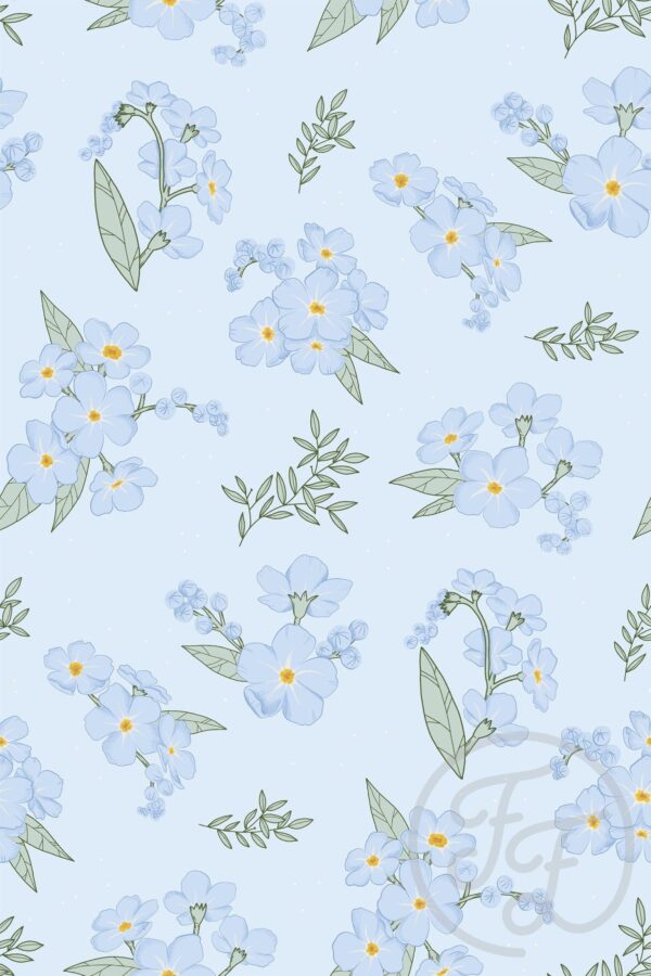 Myosotis