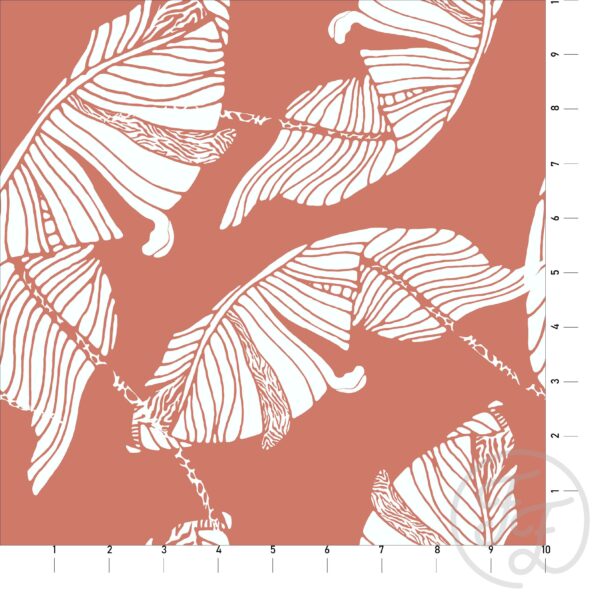 White Tropical on Pinkish Orange