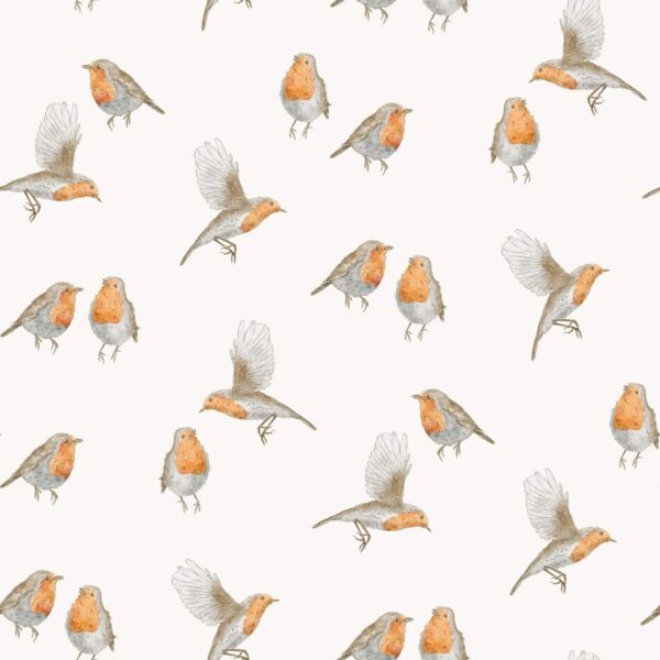 Robin BIrds