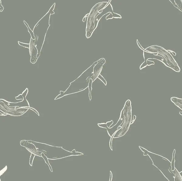 Whale Watching Sage Green