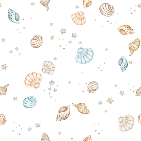 Seashells White