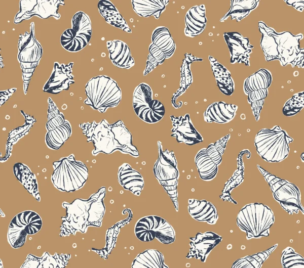 North Shore Seashells Bronze