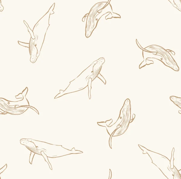 Whale Watching Cream