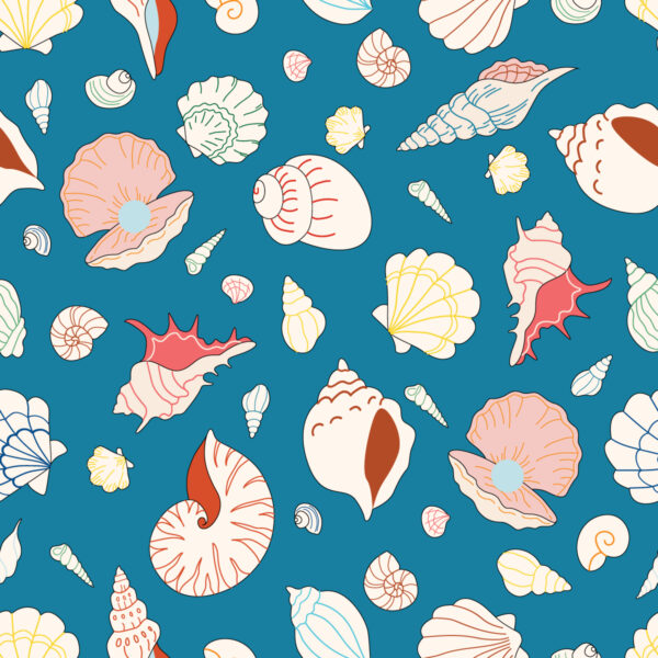 Seashells in Nice Blue