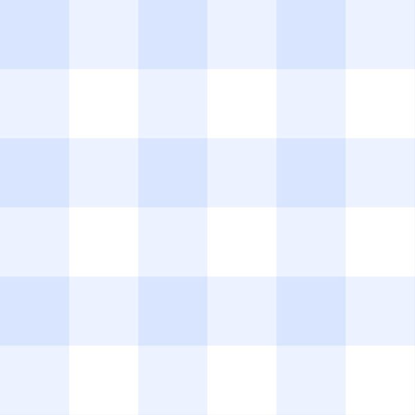 Gingham Blue