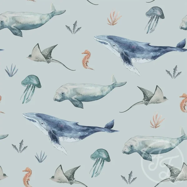Deep Sea Life Special Edition