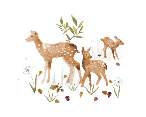 Fawn Transfer Film