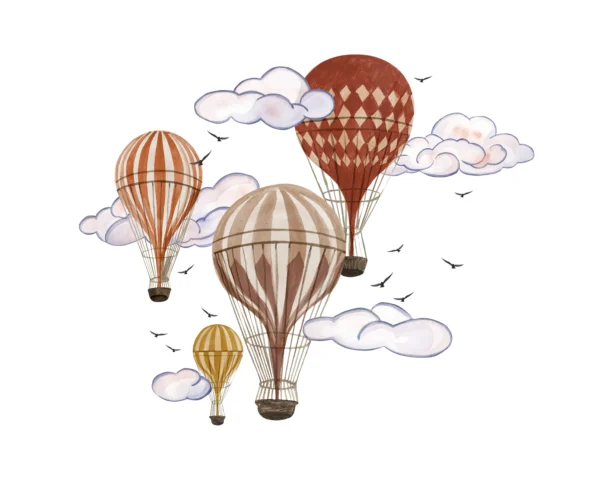 Hot Air Balloon Transfer Film